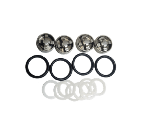 300 PSI Pump Rebuild Kit B - Valve and Seals Sandia Products - 80-0080-RB