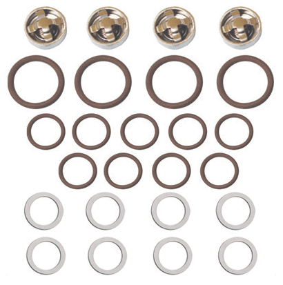 500 PSI Pump Rebuild Kit B - Valve and Seals Sandia Products - 80-0016-RB